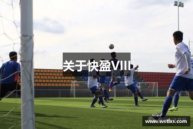 关于快盈VIII